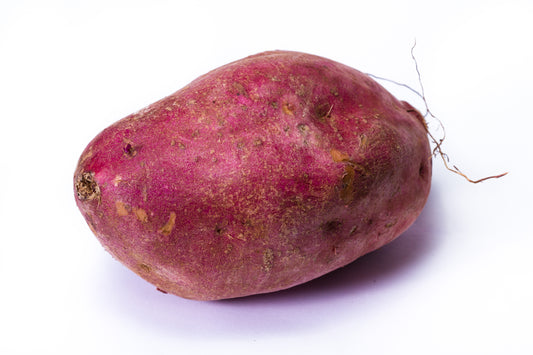 Sweet Potato Red (Süßkartoffel Rot)