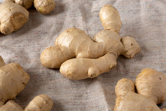 Ginger (Ingwer)